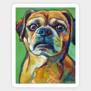 Cute Puggle--Part Pug Part Beagle Sticker